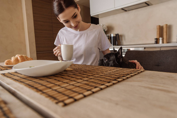 selective focus of happy girl holding cup and looking at cute french bulldog in kitchen  - Photo, Image