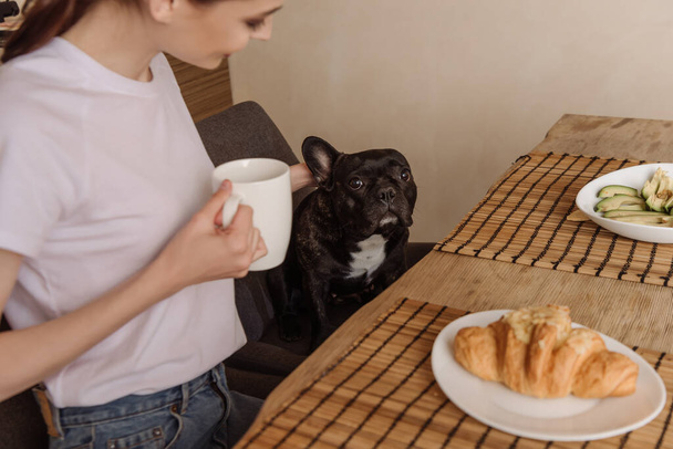 selective focus of happy girl holding cup and looking at french bulldog  - Foto, Imagen