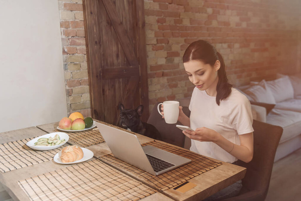 freelancer atraente usando smartphone perto de laptop, café da manhã e bulldog francês
 - Foto, Imagem