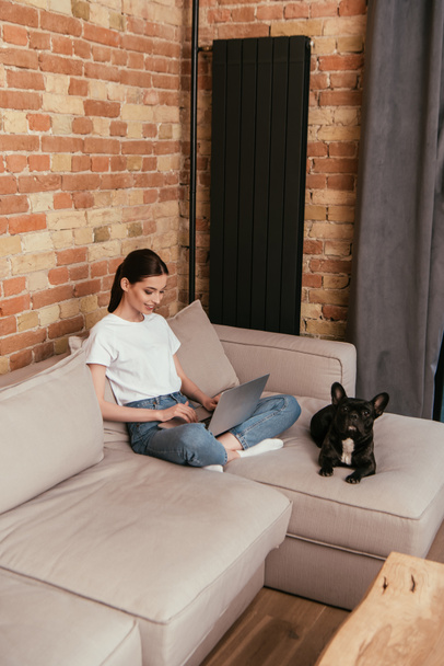 feliz freelancer usando portátil cerca bulldog francés en sala de estar
  - Foto, Imagen