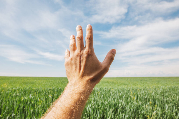white man points his hand to a green field and a blue sky with clouds - Photo, Image