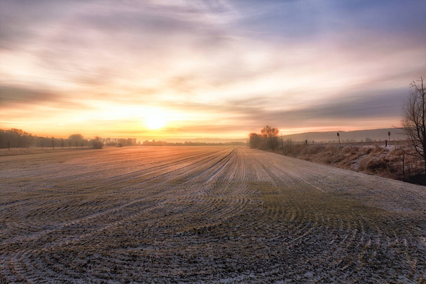 Un'alba viola gialla su un campo in inverno
 - Foto, immagini