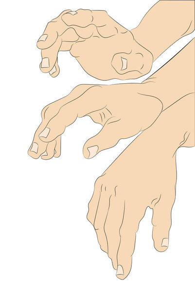 vector illustration of hands, color drawing, vector, white background - Vektor, obrázek