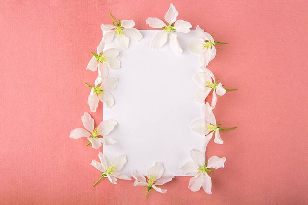 Invitation greeting card. Flat lay flowers composition for your lettering. Frame made of apple tree flowers on pink background. Top view, copy space for text, mock up. Wedding concept - Photo, Image