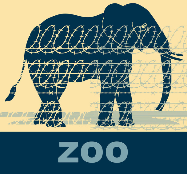 Elephant in a zoo. Animal rights - Vector, Image