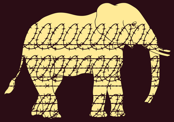 Ελέφαντας σε ζωολογικό κήπο. τα δικαιώματα των ζώων - Διάνυσμα, εικόνα