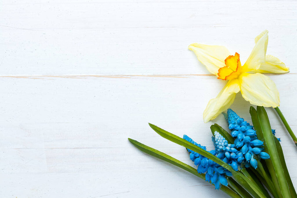 Daffodil και υάκινθος ανοιξιάτικα λουλούδια σε παλιό λευκό ξύλινο φόντο. Επίπεδη θέα. Αντιγραφή χώρου στα αριστερά. - Φωτογραφία, εικόνα