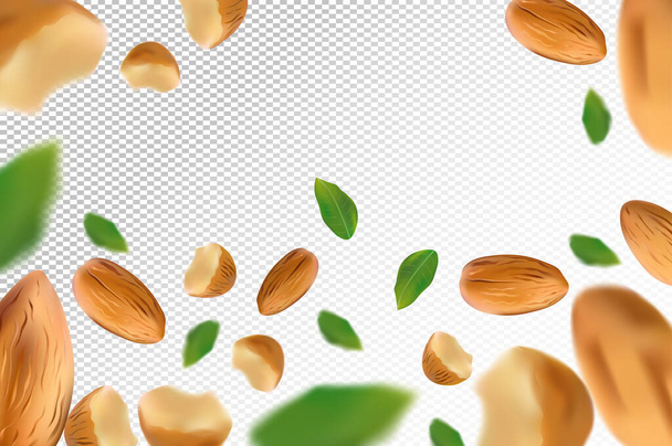 Mantelipähkinöiden tausta. Lentävä manteli, jossa on vihreä lehti läpinäkyvällä taustalla. 3D realistisia pähkinöitä. Manteli putoaa eri näkökulmista. Vektoriesimerkki
. - Vektori, kuva