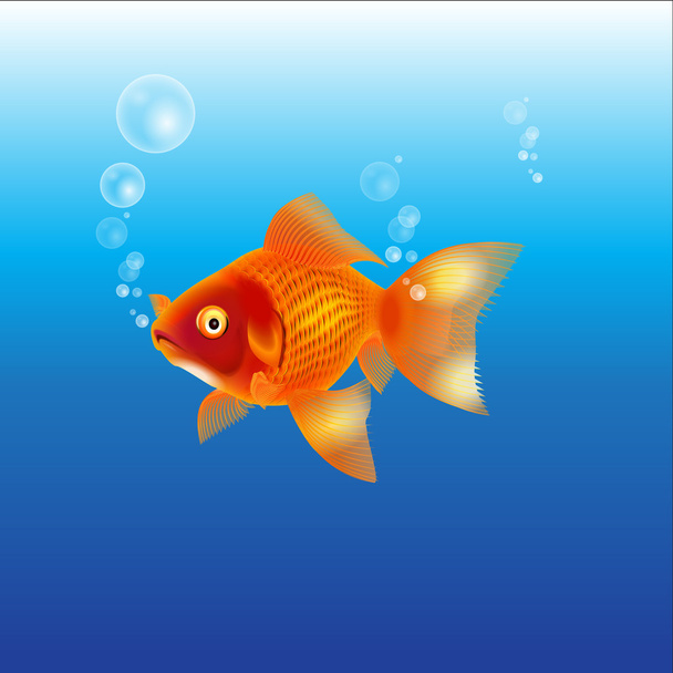 Золотая рыба в море
 - Фото, изображение