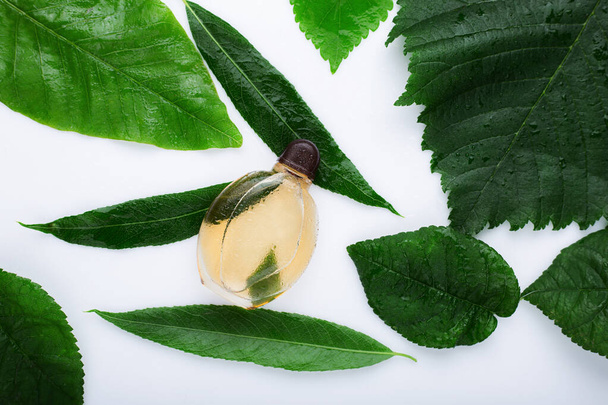 perfume and green leaves on a white background - Photo, Image