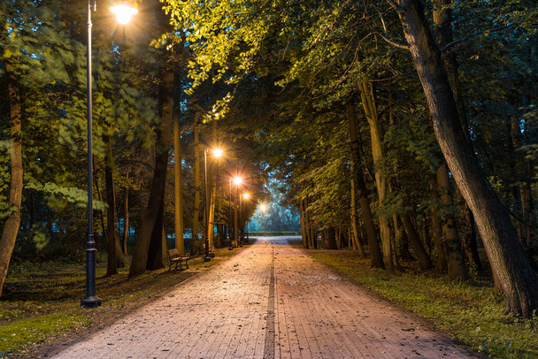 Pavimento pedonale e pista ciclabile in un parco al crepuscolo. Illuminazione drammatica e umore
. - Foto, immagini