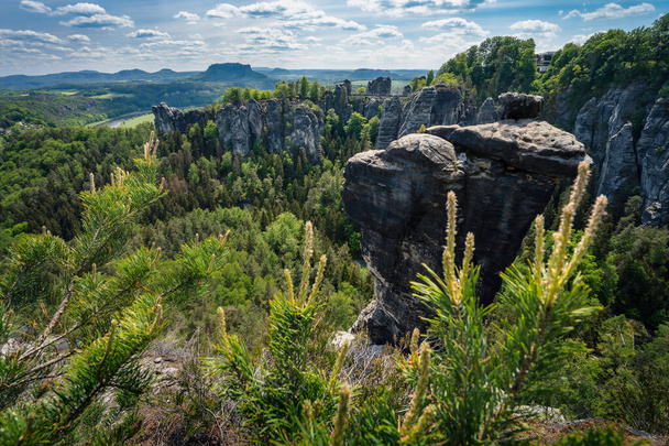 Panoramic view of famous Bastei national park Saxon Switzerland, Germany. Pine tree on stone edge. Ferdinandstein formation mountains in spring season - Φωτογραφία, εικόνα