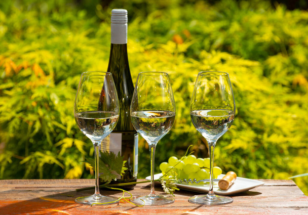 ドイツのモーゼルワインリジンのワイナリーでの質の高いワインの試飲、 3つのグラスと1本のリースリング白ワインは晴れた日に庭で屋外で提供されました - 写真・画像