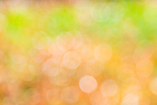Bokeh háttér Természetes fény, zöld, sárga, narancs elmosódott - Fotó, kép