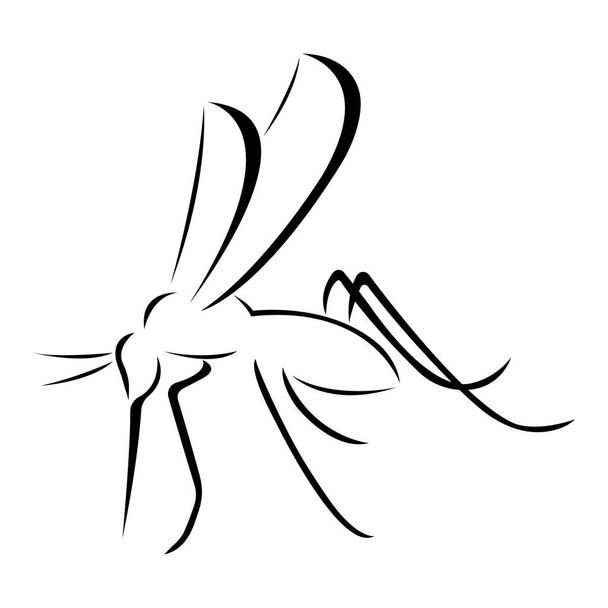 Mosquito drawn by various black lines. Design can be used in medicine, parasite extermination company logo, emblem, modern mosquito tattoo, t-shirt print, icon, banner. Isolated vector illustration - Vector, Image