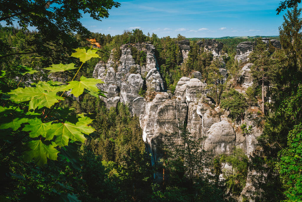 Saxony, Germany. View of famous Bastei rock formation. Elbe Sandstone Mountains. Jutted out rock pillars, pine tree forests down the valley and maple leaves in foreground - Foto, afbeelding