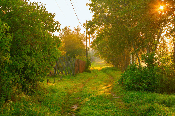 Rosyjska prowincja. Mała wioska. Wiejska ulica, brudna droga, otoczona zielenią. Poranne światło słoneczne - Zdjęcie, obraz