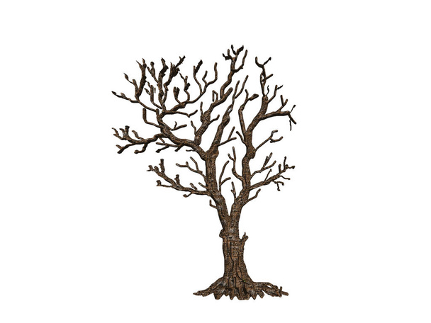 Дерево з гілками, гілочками і листям
 - Фото, зображення