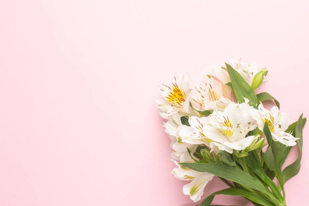 White flowers Alstroemeria on a pink background with copyspace top view - Foto, Imagen