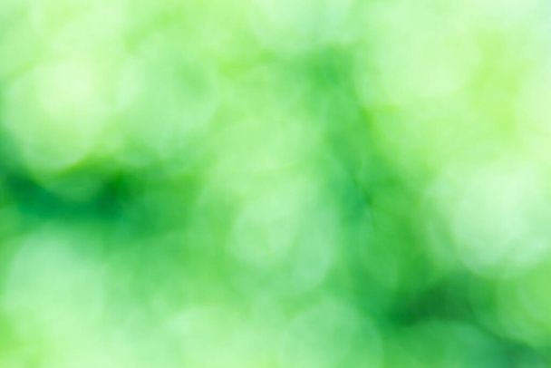 Боке фон З природним світлом, зеленим, жовтим з розмитим
 - Фото, зображення