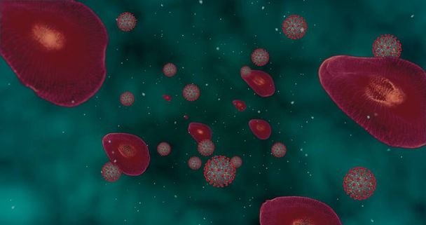 Concentração elevada Doença por Coronavírus Covid-19. Grupo de animação de vírus e células vermelhas do sangue fechar sob o microscópio. 3D renderização ilustração 3D - Foto, Imagem