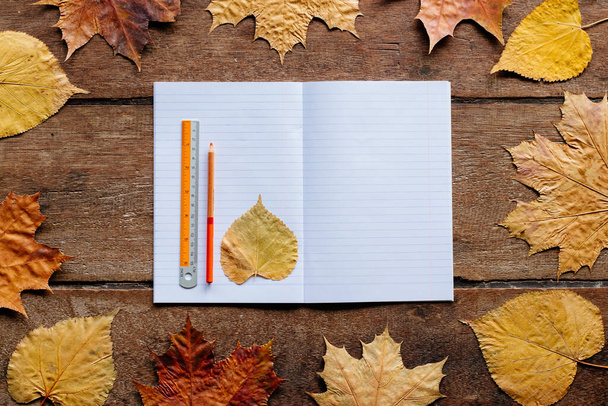 Fond d'écran pour Septembre 1. Feuilles d'automne sur fond en bois avec espace de copie. - Photo, image