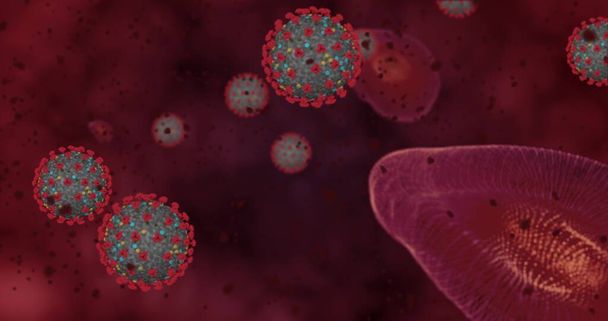 Σφιγμένη συγκέντρωση της νόσου του Coronavirus Covid-19. Ομάδα κινουμένων σχεδίων ιών και ερυθρών αιμοσφαιρίων κλείνουν κάτω από το μικροσκόπιο. 3D απόδοση τρισδιάστατη απεικόνιση - Φωτογραφία, εικόνα
