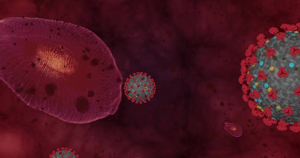 Σφιγμένη συγκέντρωση της νόσου του Coronavirus Covid-19. Ομάδα κινουμένων σχεδίων ιών και ερυθρών αιμοσφαιρίων κλείνουν κάτω από το μικροσκόπιο. 3D απόδοση τρισδιάστατη απεικόνιση - Φωτογραφία, εικόνα