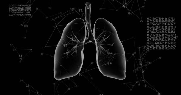 Rotierendes 360 low polygonal Lungen 3D-Modell auf schwarzem Hintergrund mit animierten steigenden Zahlen und Diagrammen. 3D-Illustration - Foto, Bild