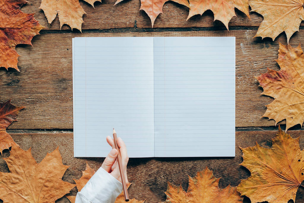 Обои на 1 сентября. Осенние листья на деревянном фоне с копировальным пространством женскими руками
 . - Фото, изображение
