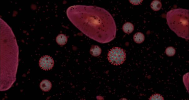 Korkeuspitoisuus Coronavirus tauti Covid-19. Animaatioryhmä viruksia ja punasoluja mikroskoopin alla. 3D-mallinnus 3D-kuvitus - Valokuva, kuva