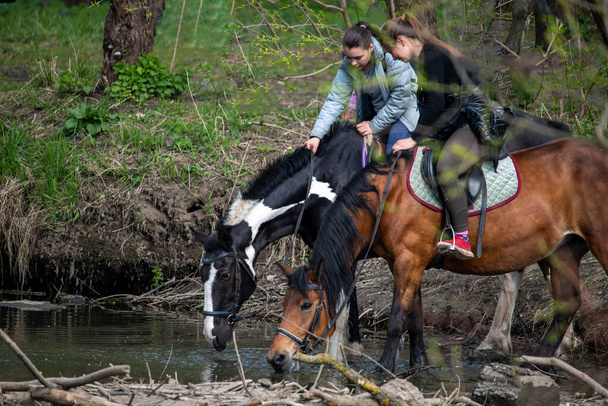 Reiter und ihre Pferde im Wald am Fluss  - Foto, Bild