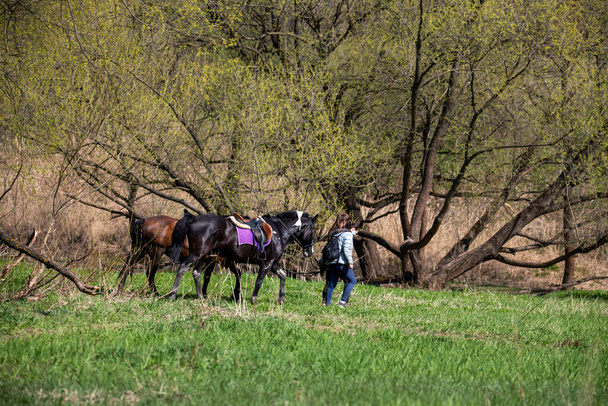 lovasok és lovaik az erdőben a folyó közelében  - Fotó, kép