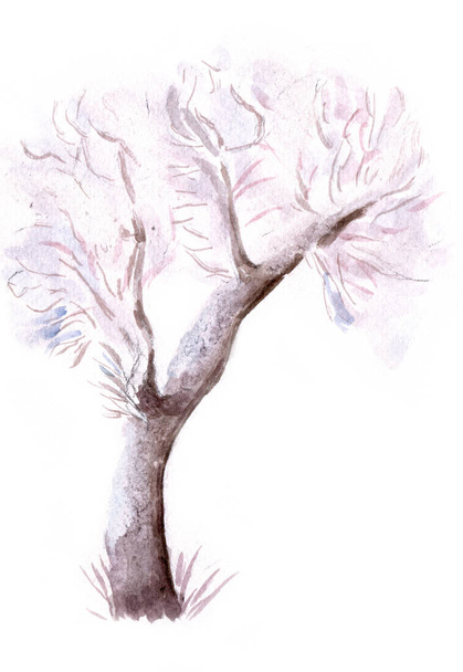 Suluboya kış çıplak ağacı - Fotoğraf, Görsel