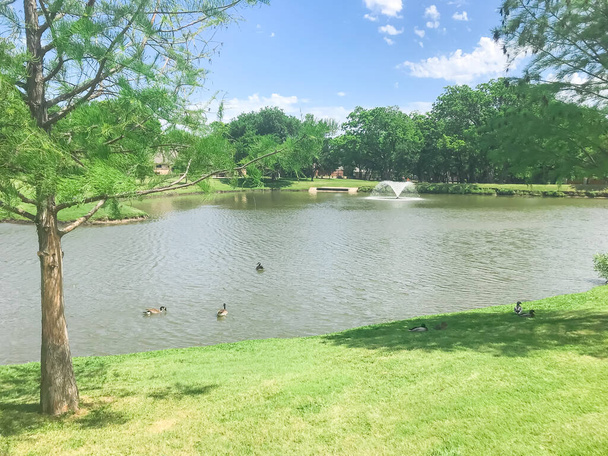 米国テキサス州コペルの澄んだ池と緑の背の高い木がある住宅公園での作業用噴水 - 写真・画像