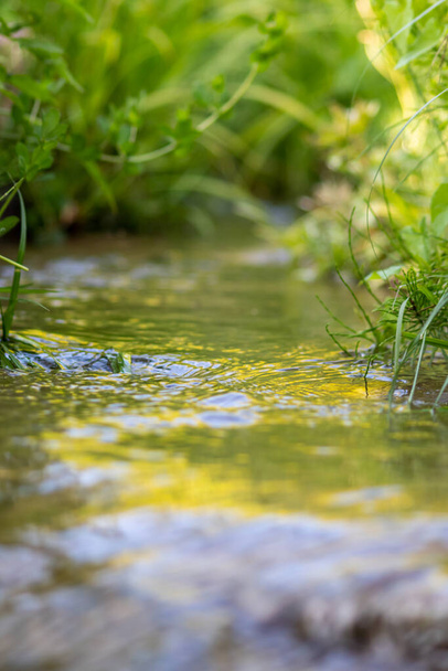 Silkkinen aaltoja vedessä kristallinkirkas vesi puro kuin idyllinen luonnollinen tausta lähikuva osoittaa zen meditaatio ja pikku aaltoja terve vuori keväällä selkeä kelluva virta - Valokuva, kuva