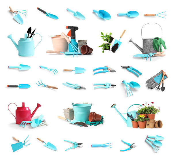 Set of gardening tools and different seedlings on white background - Zdjęcie, obraz