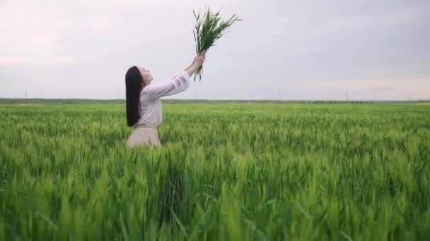 kaukaskie, dziewczyna z czarnymi włosami w białej koszuli i spódnicy, podnosi bukiet uszu pszenicy o zachodzie słońca i kładzie go na ręce - Materiał filmowy, wideo
