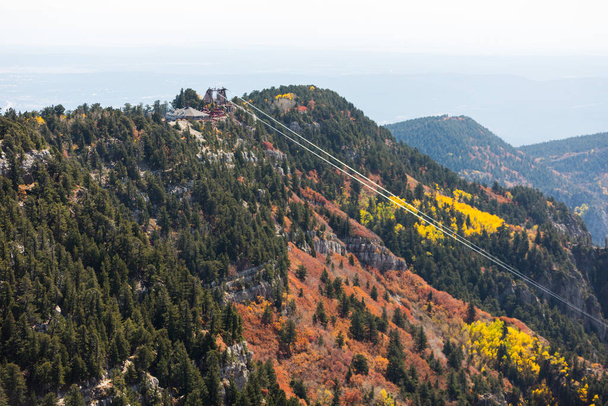 Sandia Peak New Mexico Landscape trees Fall Colors - Photo, Image