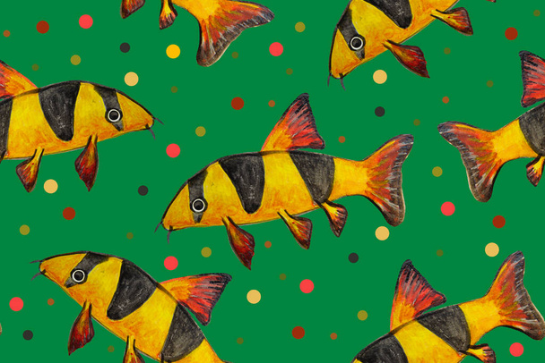 Безшовний візерунок з смугастими акварельними пофарбованими рибами
. - Фото, зображення