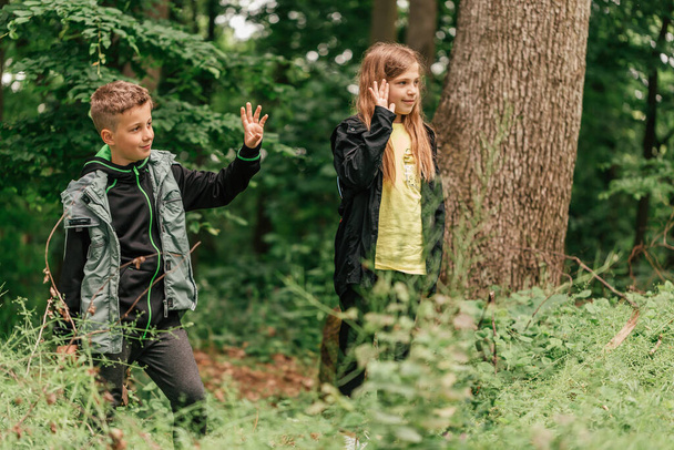 İki mutlu çocuk ormanda güzel bir günde orman yürüyüşü yaparken eğleniyor. Sevimli çocuklar kollarını birine sallıyor.. - Fotoğraf, Görsel