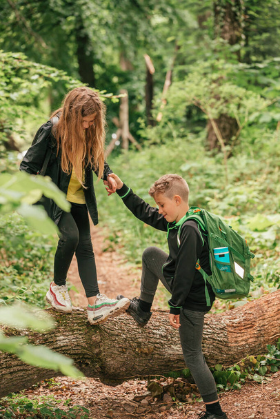 Happy boy and girl go hiking with backpacks on forest road bright sunny day. The girl helps the boy to climb a tree, obstacle on the road. - 写真・画像