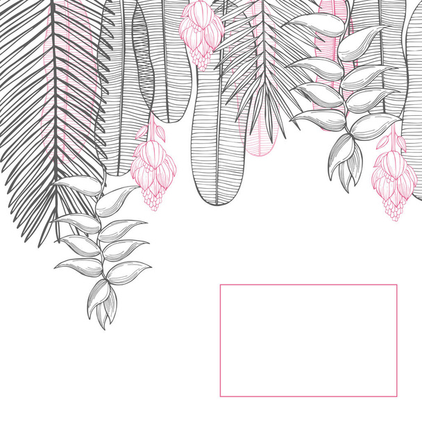 Vector frame with Hand drawn tropical plants. - Vector, Image
