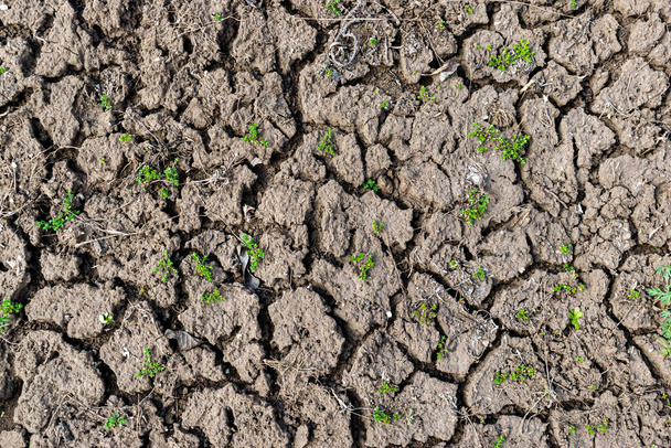 Dry soil erosion background texture closeup - Photo, Image