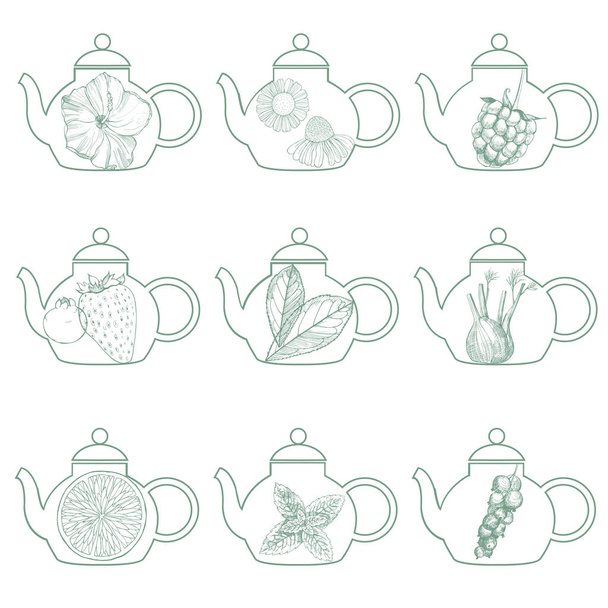 Herbal tea.Teapots. Vector   illustration. - Vector, Image