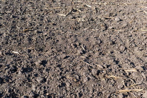 Talaj a szántóföldön ásványi trágyával - Fotó, kép
