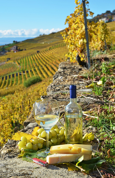 Wine and cheese. Lavaux region, Switzerland - Photo, Image