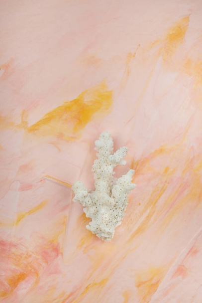 Coral marino sobre fondo rosa pastel
 - Foto, Imagen