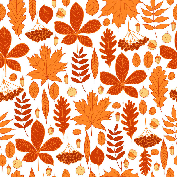 Vektormuster mit handgezeichneten Herbstblättern. Vektorillustration.  - Vektor, Bild