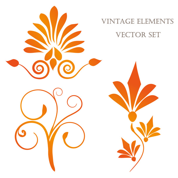 Abstract floral background. - Vector, afbeelding
